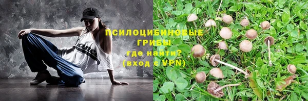 Альфа ПВП Абаза