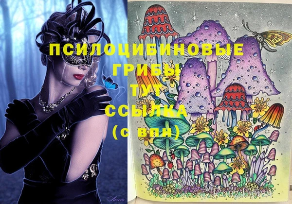 Альфа ПВП Абаза