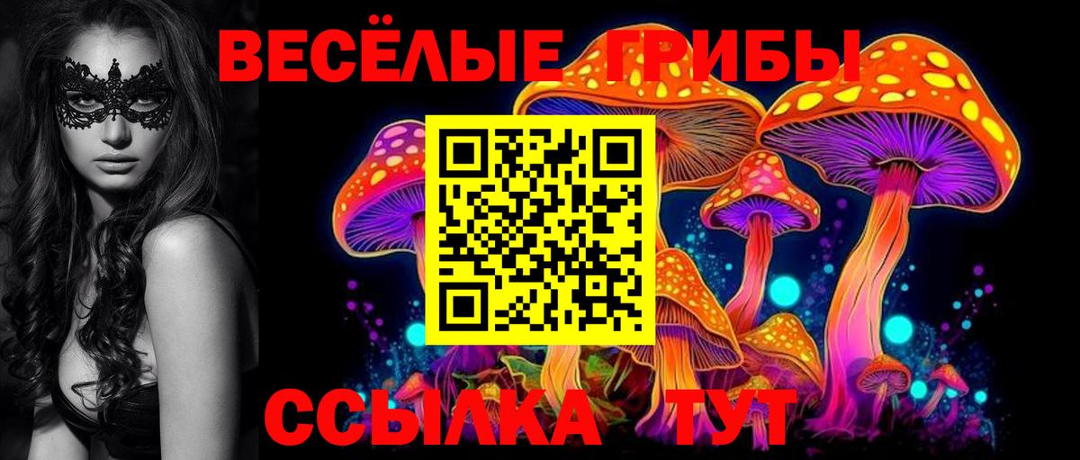 Копейск  Псилоцибиновые грибы мухоморы  Псилоцибиновые грибы Psilocybine cubensis  Вход с VPN 