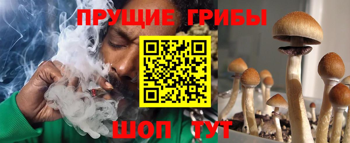 Галлюциногенные грибы Cubensis Копейск